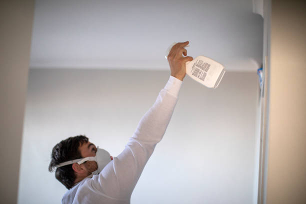 Best Residential Mold Remediation in University Park, IL