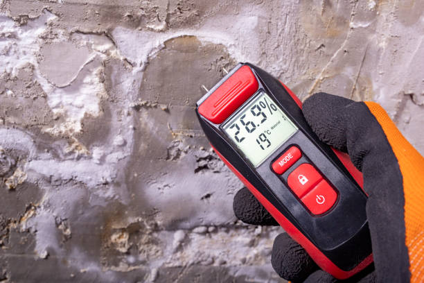 Best Kitchen Mold Remediation in University Park, IL