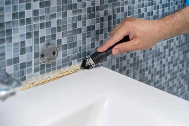 Best White Mold Remediation in University Park, IL